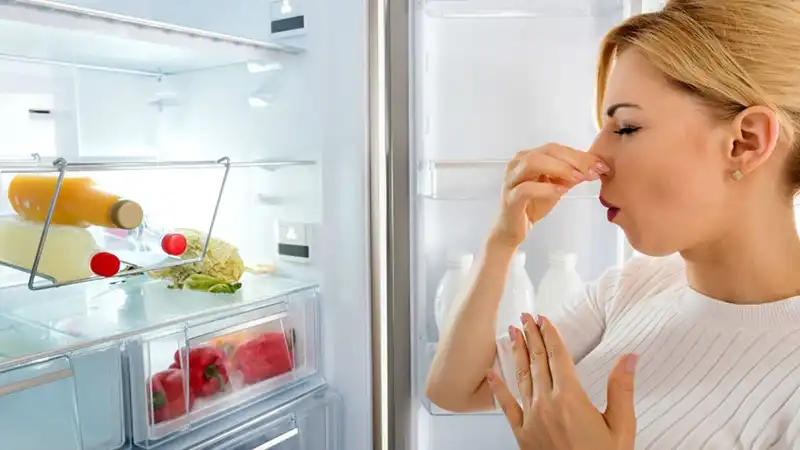 علت بوی بد یخچال چیست؟